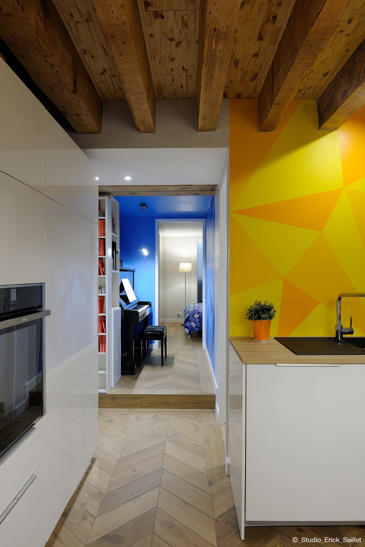 R�habilitation Appartement Jardin des Plantes : JAR_0197_�_Studio_Erick_Saillet w