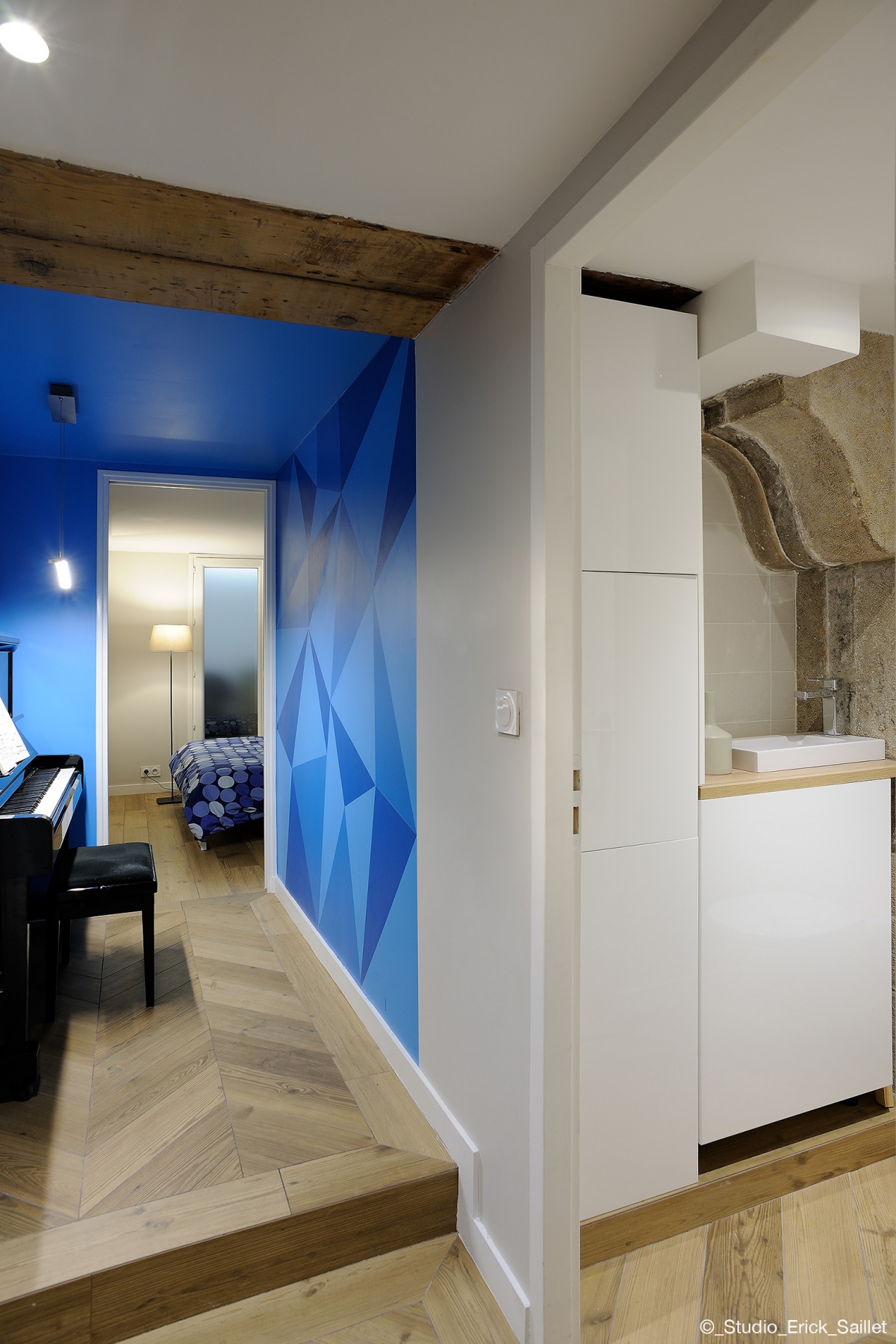 R�habilitation Appartement Jardin des Plantes : JAR_0192_�_Studio_Erick_Saillet w