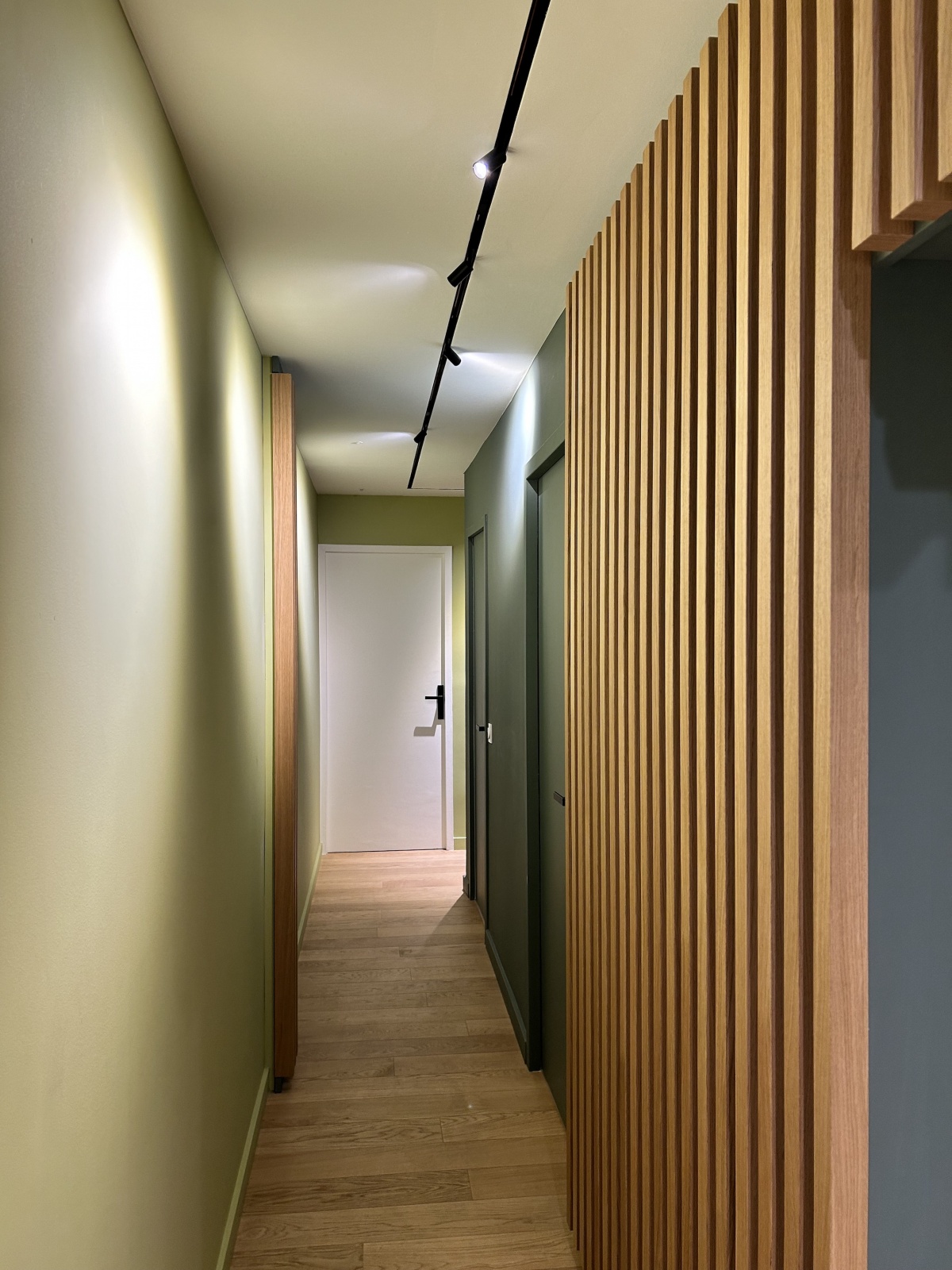 R�habilitation Appartement Fabre : Couloir Mic.jpeg