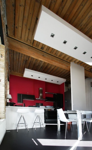 R�novation d'un appartement � la Croix Rousse. : cuisine contemporaine