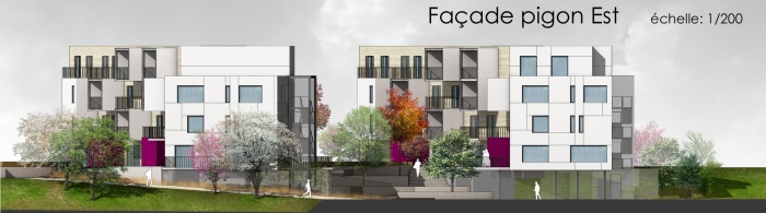 Construction de 39 logements collectifs et 6 semi-collectifs : facade collectif pignon est