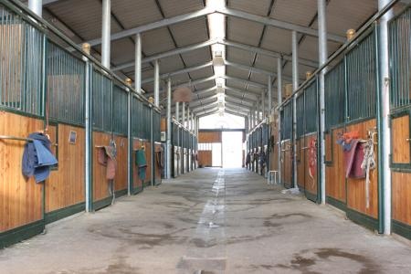 Ecuries, centre de dressage et d'élevage de chevaux : Interieurbatprinc/Brice