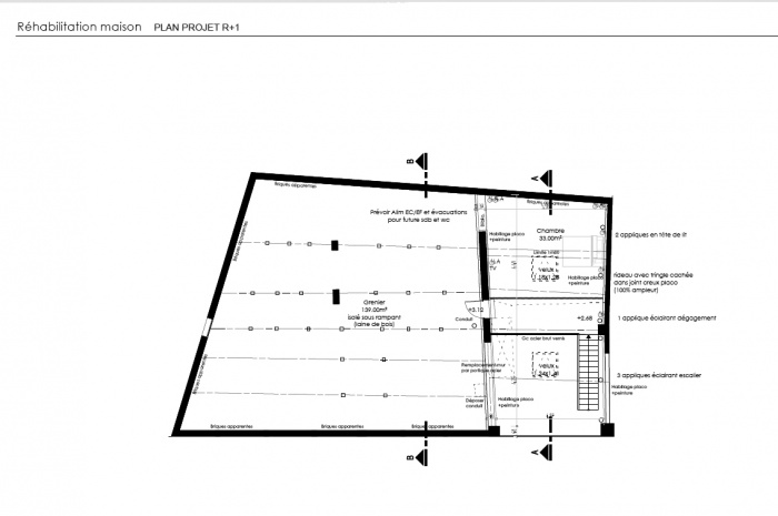 Rhabilitation toulousaine : Plan projet R+1