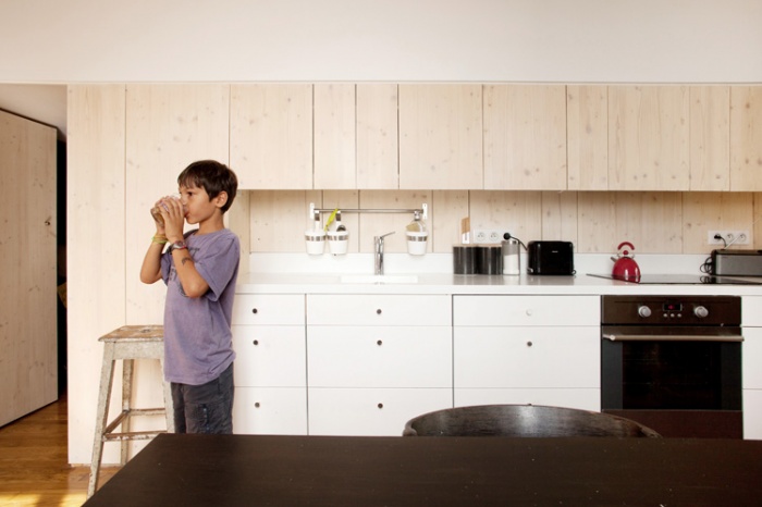 restructuration d'un appartement � la Croix-Rousse : IMG_0220b