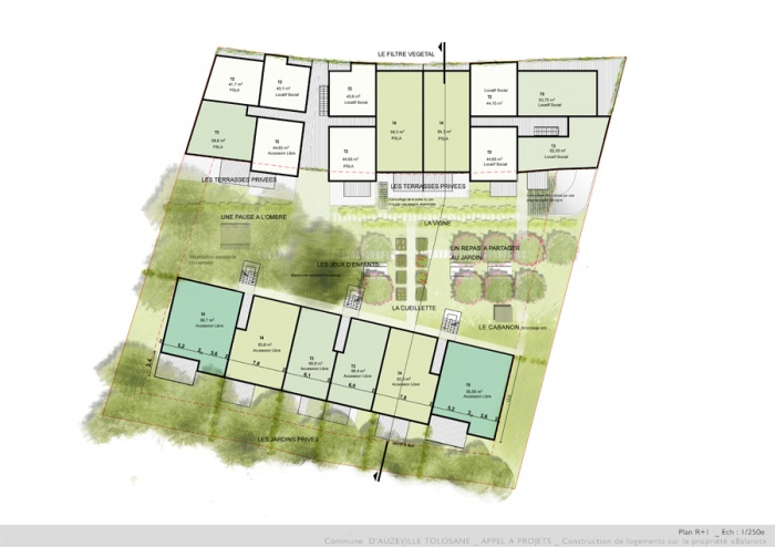 Construction de 36 logements  AUZEVILLE : A3 Plan R+1