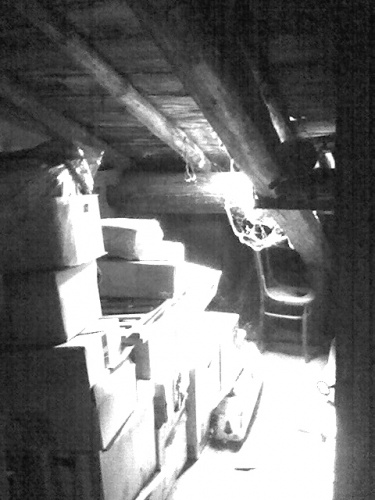 R�novation d'un appartement Canut : 11_Palix canut (4)