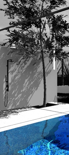 Piscine & paysage : douche exterieure sous l'arbre