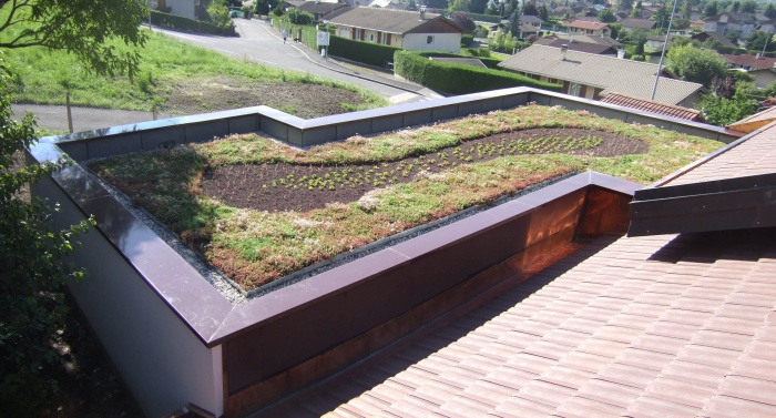 R�habilitation et extension maison : Toiture v�g�talis�e