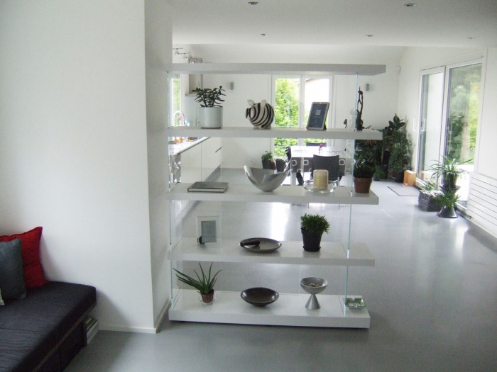 R�habilitation maison � Saint Romain au Mont d'Or : Entr�e