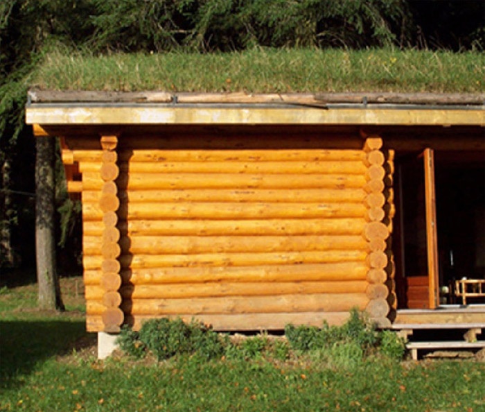 Maison à ossature bois et toiture végétalisée : image_projet_mini_97929