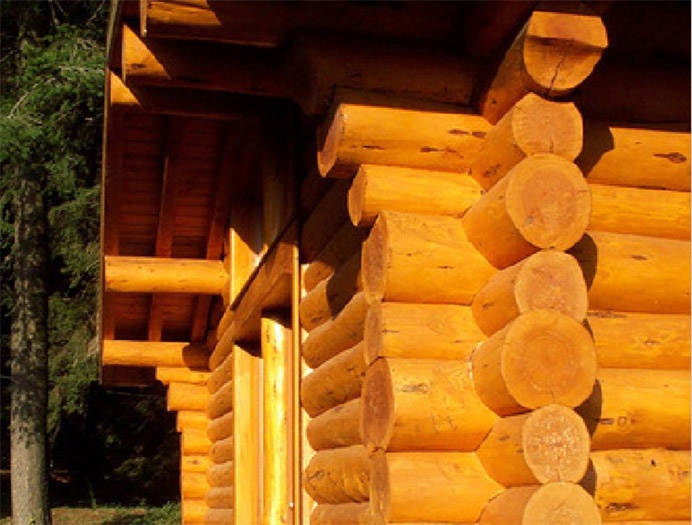 Maison à ossature bois et toiture végétalisée : image_projet_mini_97930